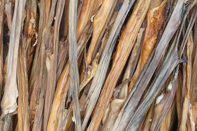 Truša āda bez spalvas